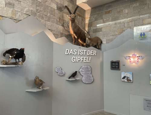 Experience the national park on the Jenner summit