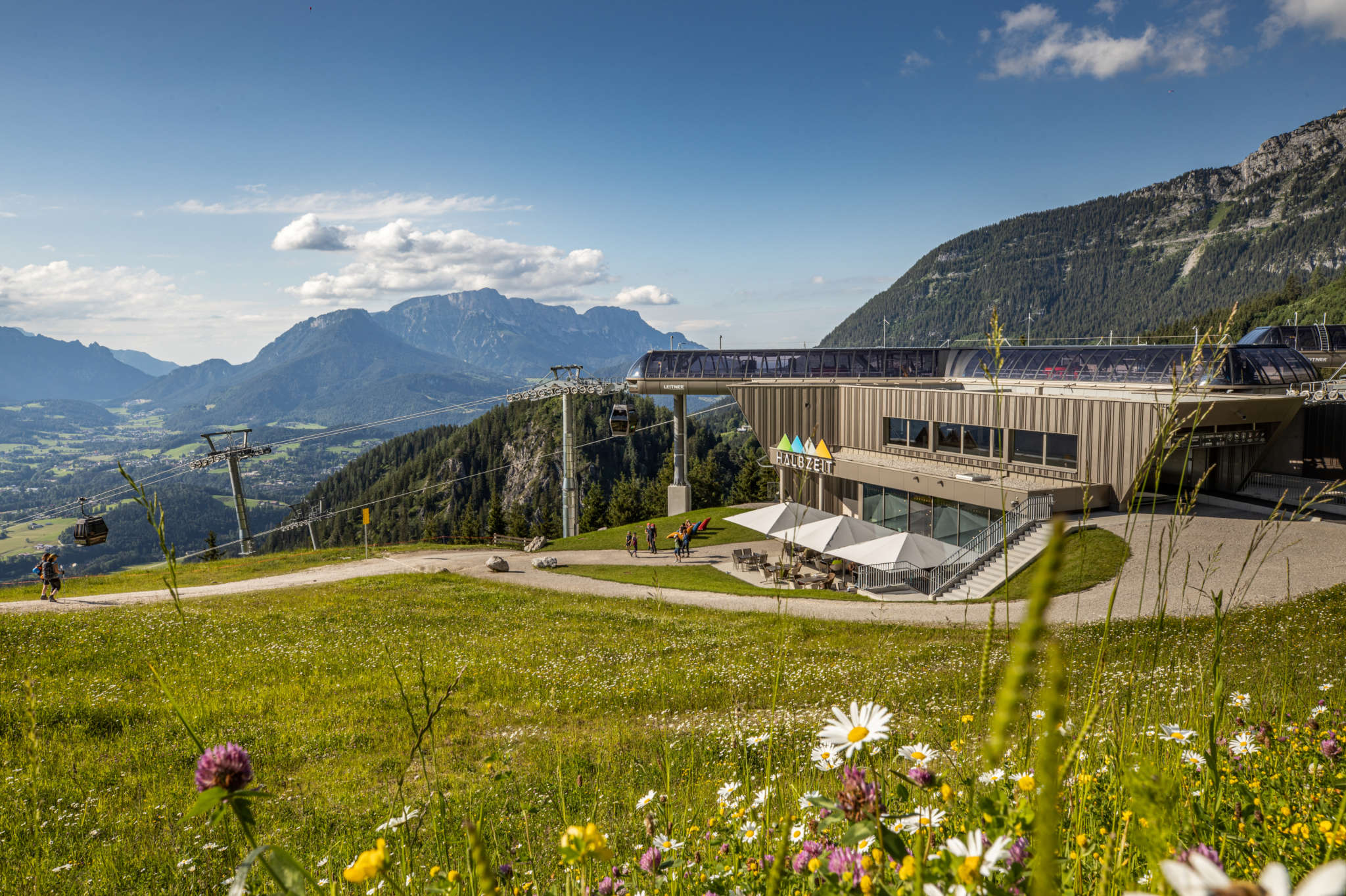 Halbzeit Sommer