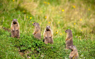 Der Nationalpark stellt sich vor