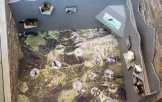 Das ist der Gipfel - Ausstellung Nationalpark Berchtesgaden Jennerbahn-Bergstation