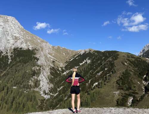 Wandertipp: Panoramatour von der Bergstation zur Mittelstation über die Mitterkaseralm