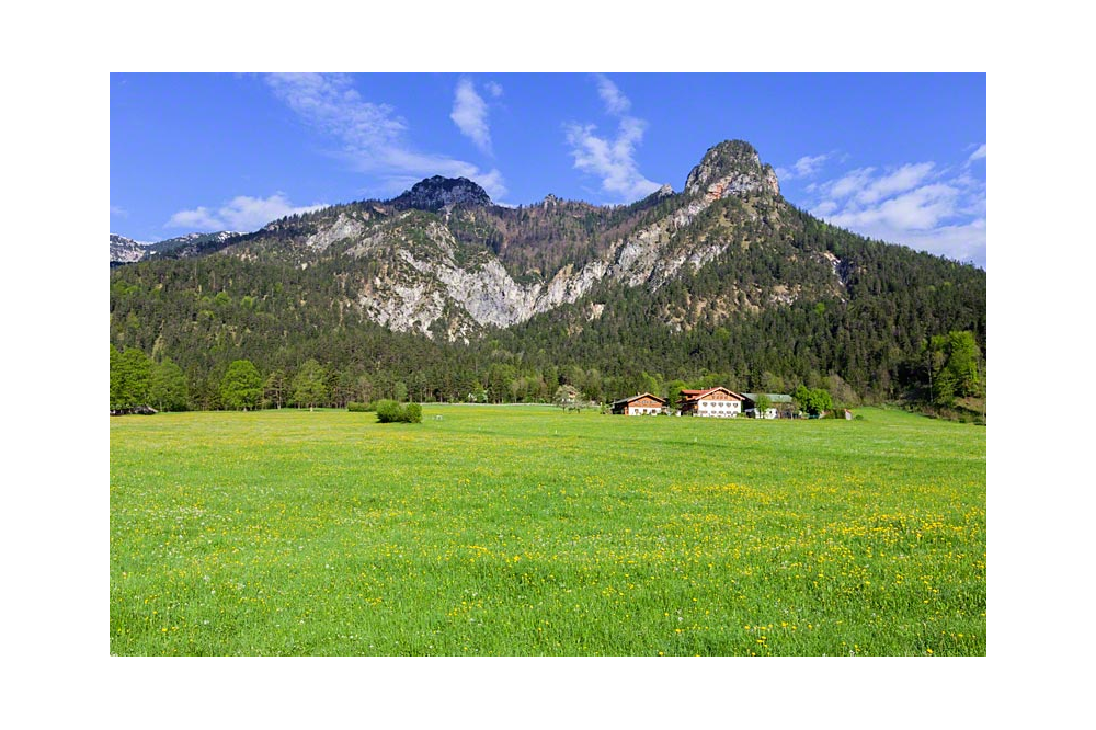 GER00020061355016354_sized_1000_0